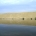 plaukimas laivu prie didžiosios kopos Nidoje